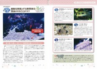 熱帯魚・水草をもっと楽しむ　アクアリウム　作り方のポイント55