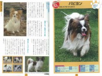 いちばんよくわかる　犬種図鑑　日本と世界の350種