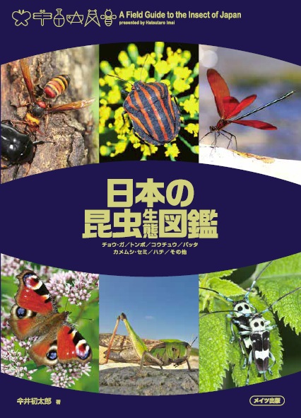 日本の昆虫　生態図鑑