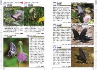 群馬の昆虫生態図鑑