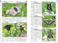 茨城の昆虫生態図鑑