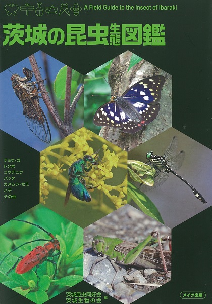 茨城の昆虫生態図鑑