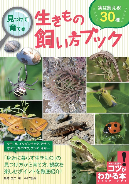 見つけて育てる　生きもの飼い方ブック　実は飼える！30種