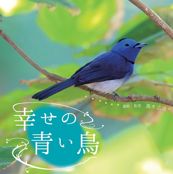 幸せの青い鳥