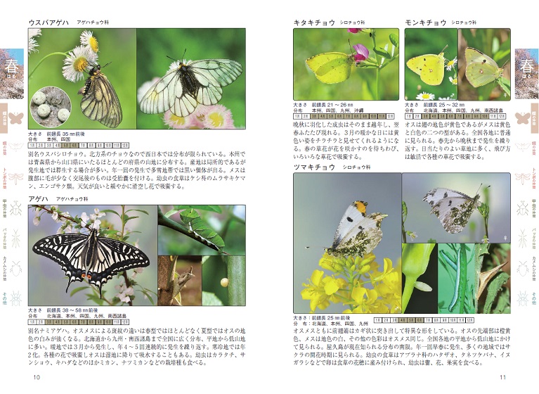 株式会社 メイツユニバーサルコンテンツ 里山 雑木林の昆虫図鑑