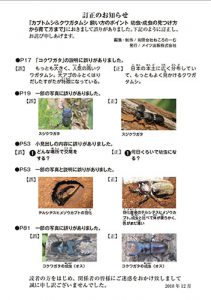 カブトムシ＆クワガタムシ　飼い方のポイント　幼虫・成虫の見つけ方から育て方まで