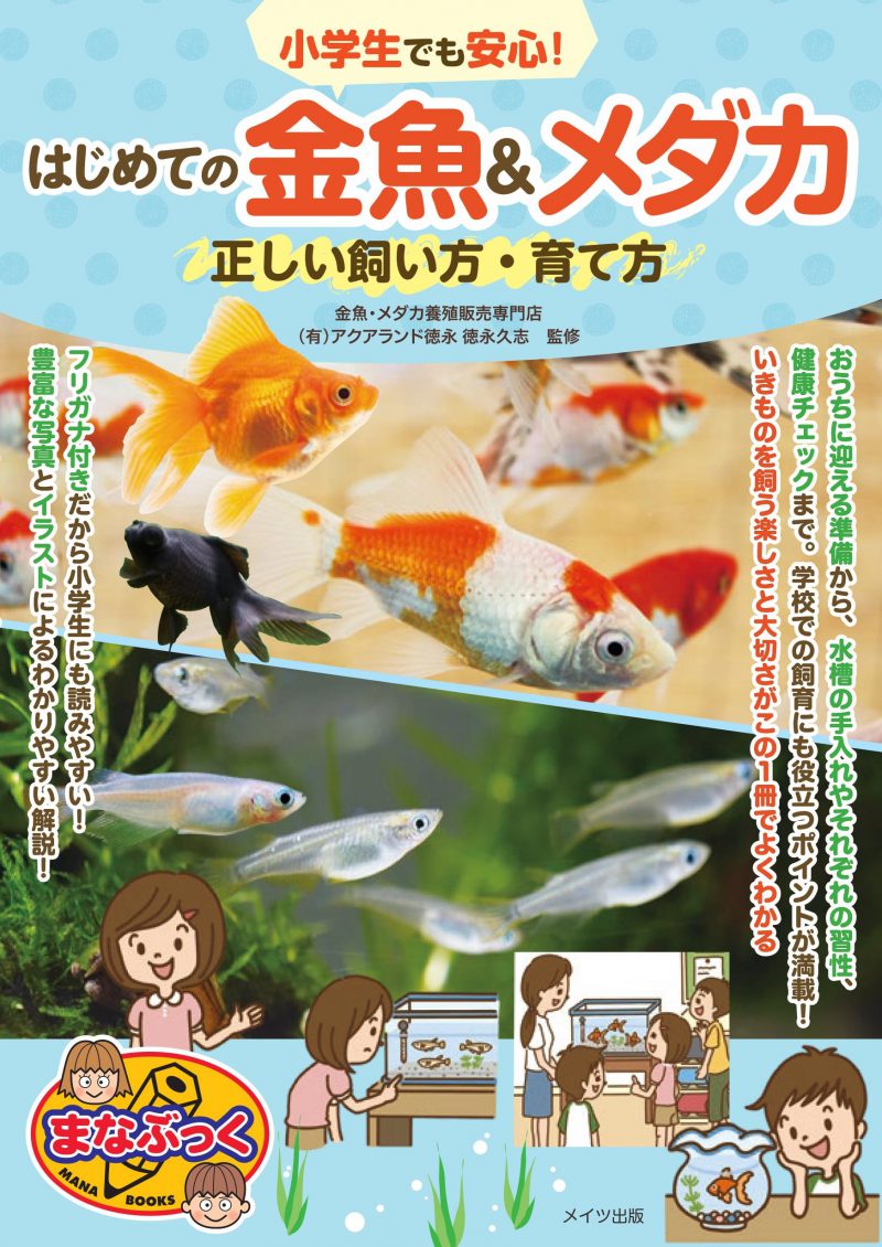 小学生でも安心！はじめての金魚＆メダカ　正しい飼い方・育て方