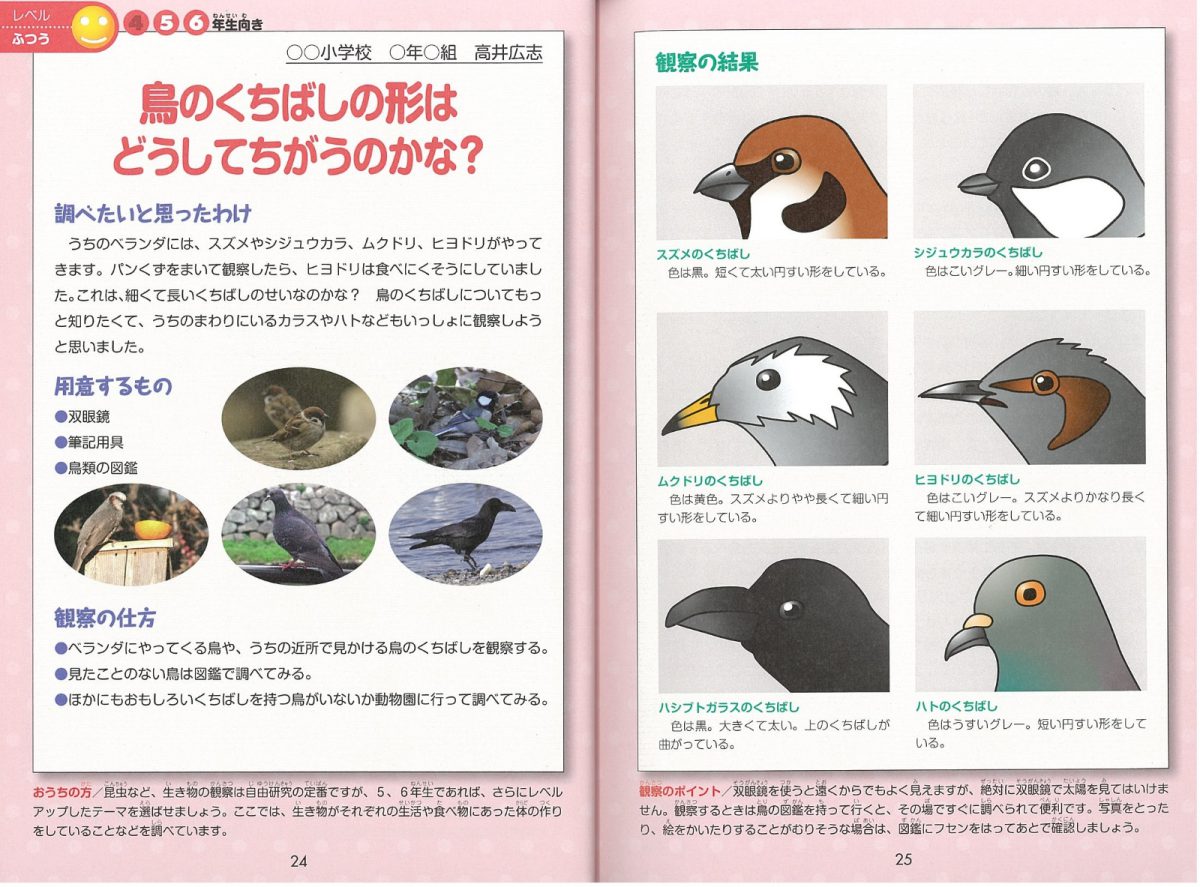 株式会社 メイツユニバーサルコンテンツ 実例でわかる 自由研究の選び方 まとめ方 4 5 6年生