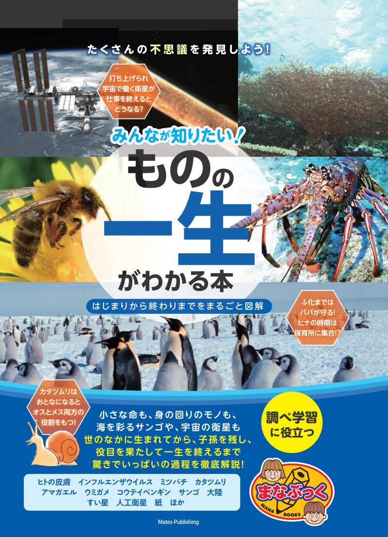 みんなが知りたい！ 「ものの一生」がわかる本　はじまりから終わりまでをまるごと図解