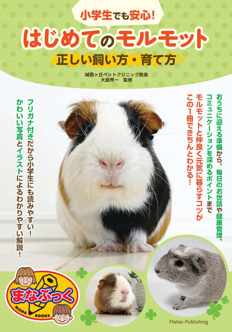 小学生でも安心！はじめてのモルモット　正しい飼い方・育て方