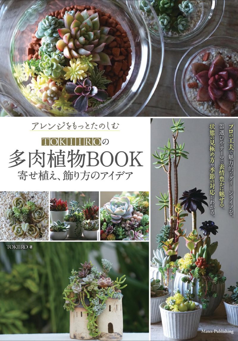 アレンジをもっとたのしむ　TOKIIROの多肉植物BOOK　寄せ植え、飾り方のアイデア