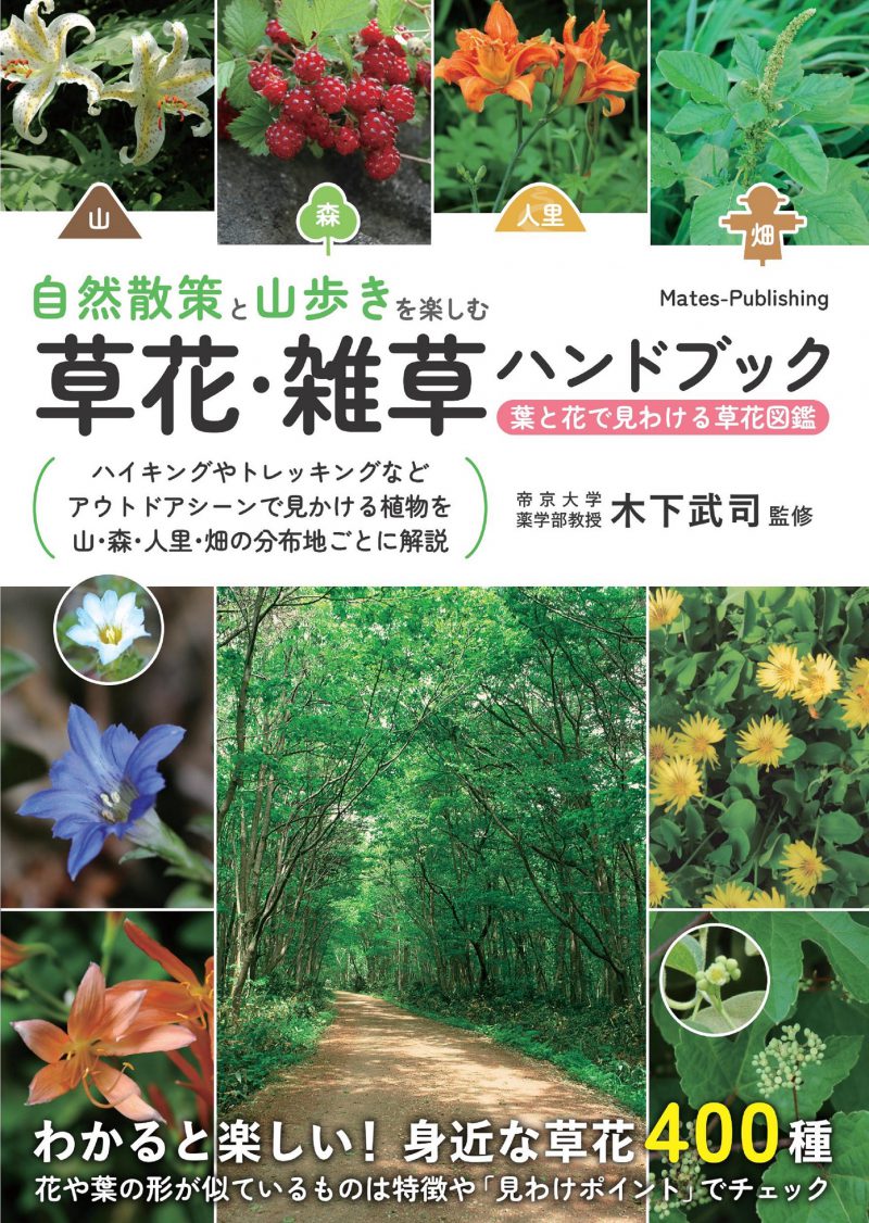 自然散策と山歩きを楽しむ　草花・雑草ハンドブック　葉と花で見わける草花図鑑