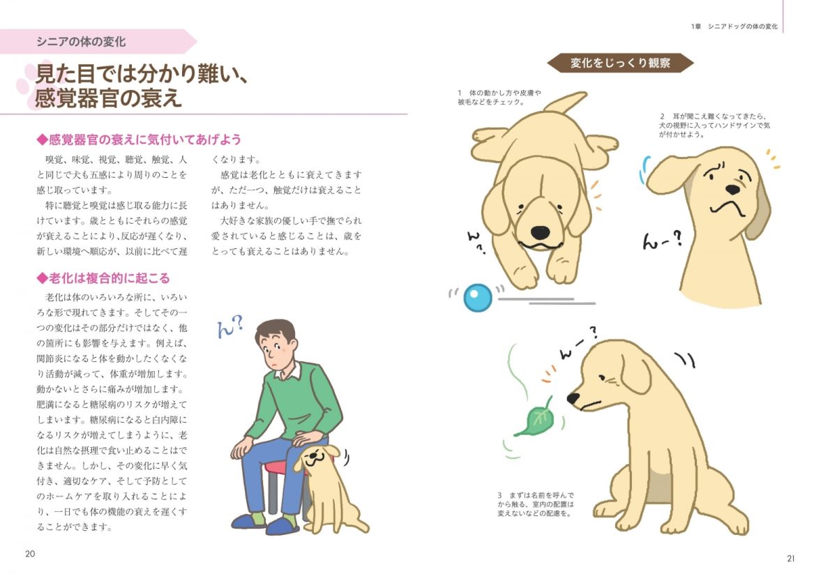 シニア犬のためのドッグマッサージ 健康サポートBOOK 目的・体調別の予防とボディケア