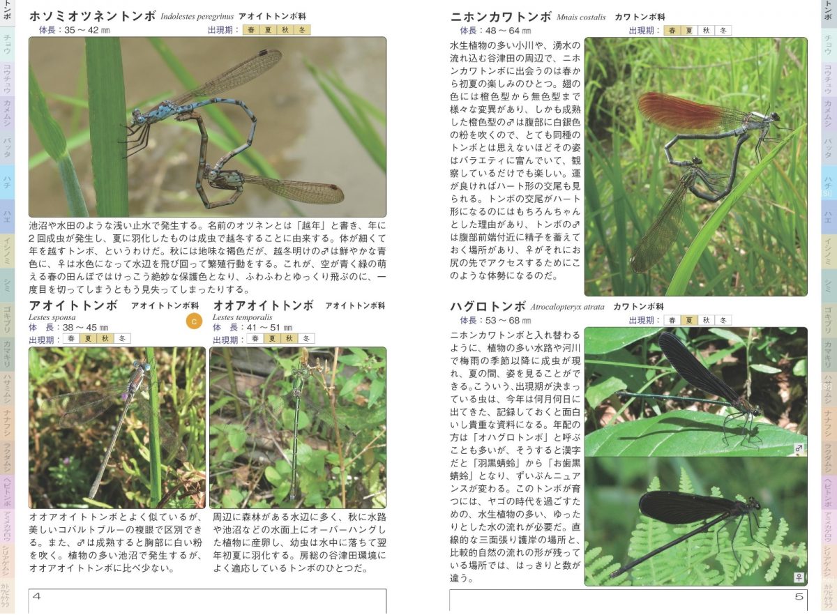 千葉の昆虫図鑑
