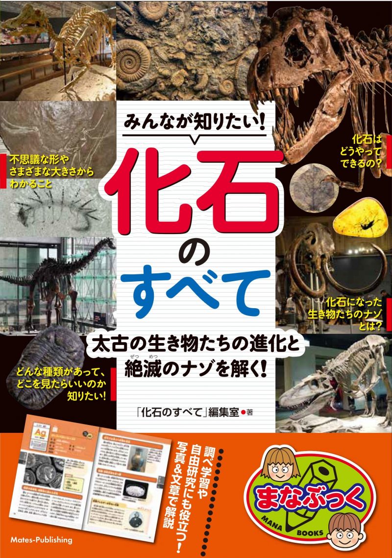 みんなが知りたい！化石のすべて 太古の生き物たちの進化と絶滅のナゾを解く