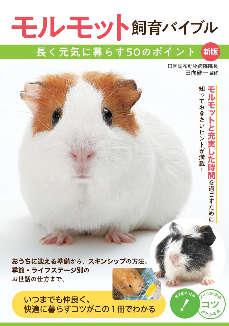 モルモット飼育バイブル 長く元気に暮らす50のポイント 新版