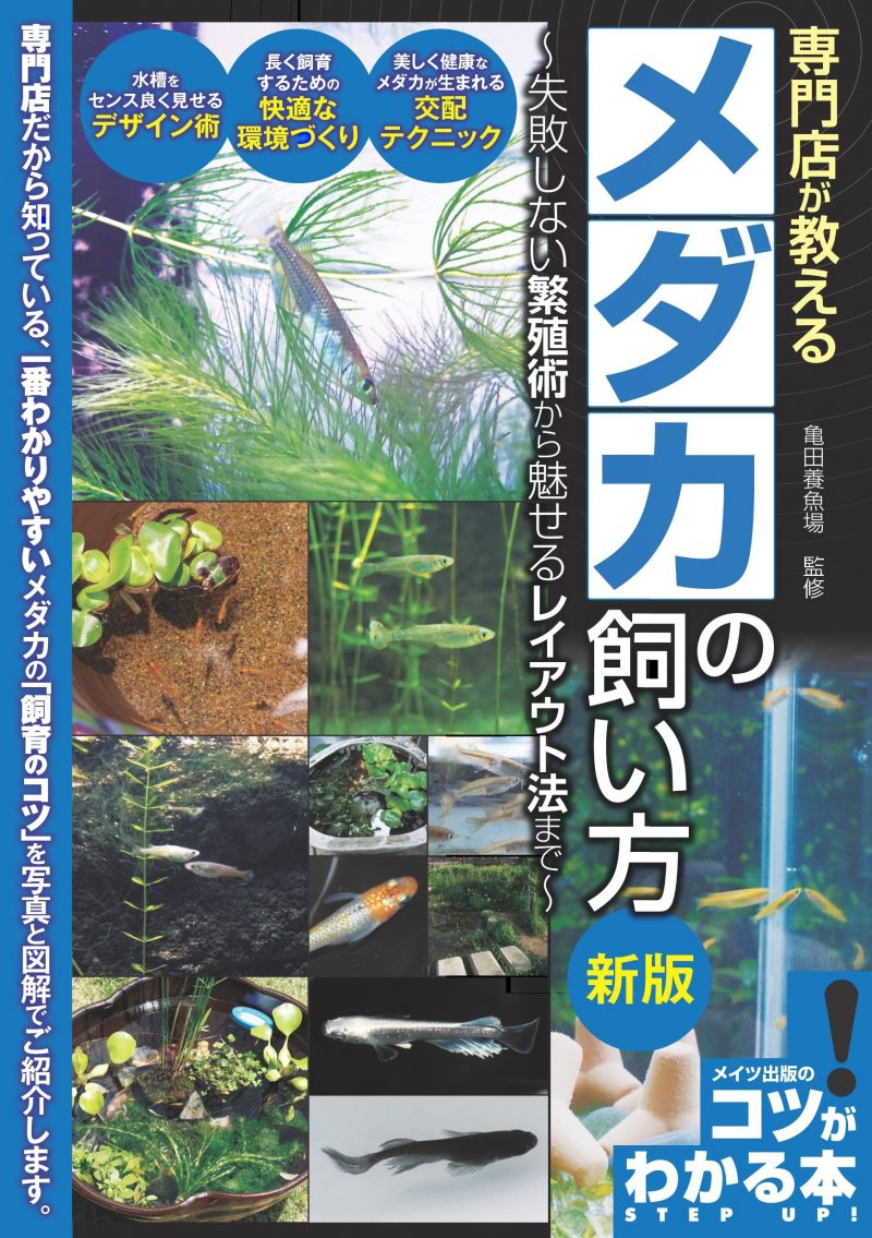 専門店が教える メダカの飼い方 新版 失敗しない繁殖術から魅せるレイアウト法まで