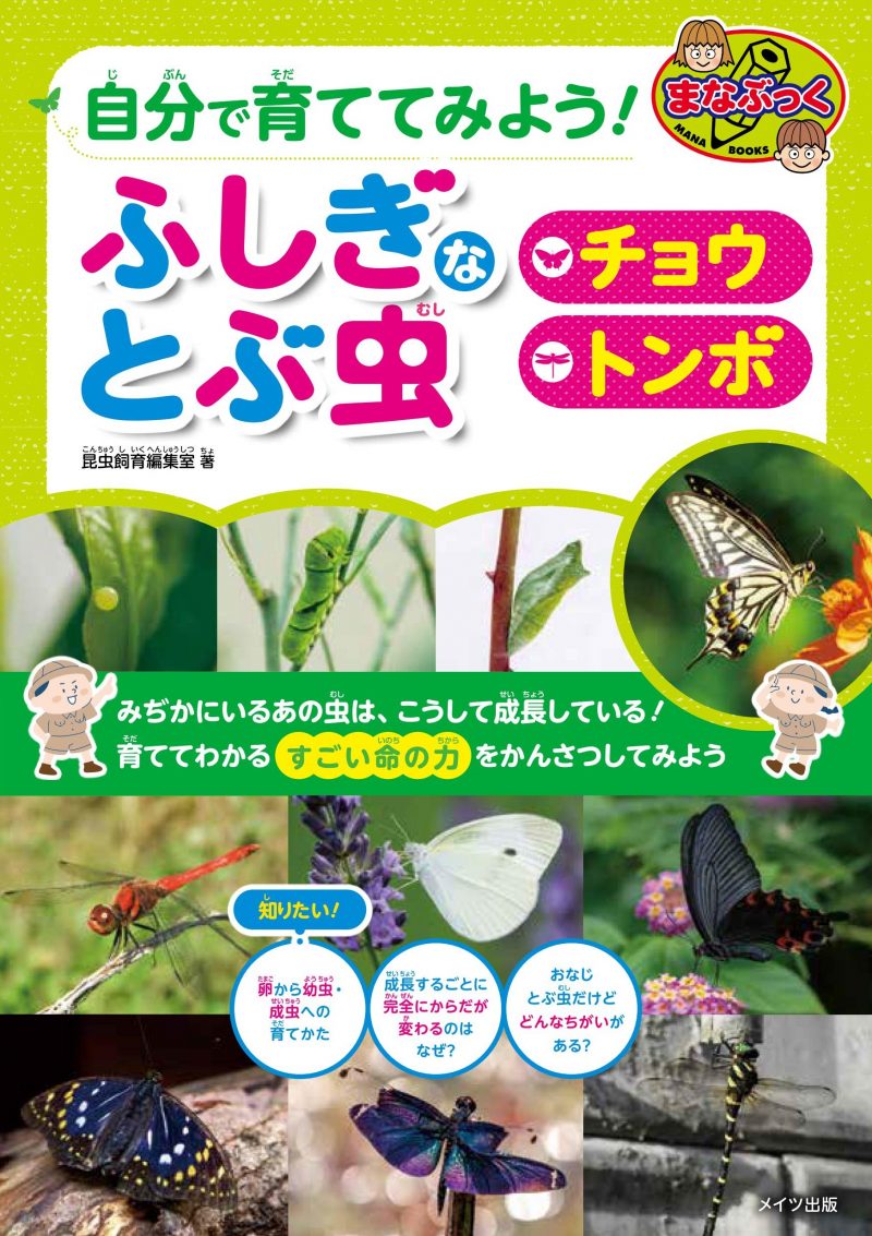 自分で育ててみよう！　ふしぎなとぶ虫　「チョウ」「トンボ」