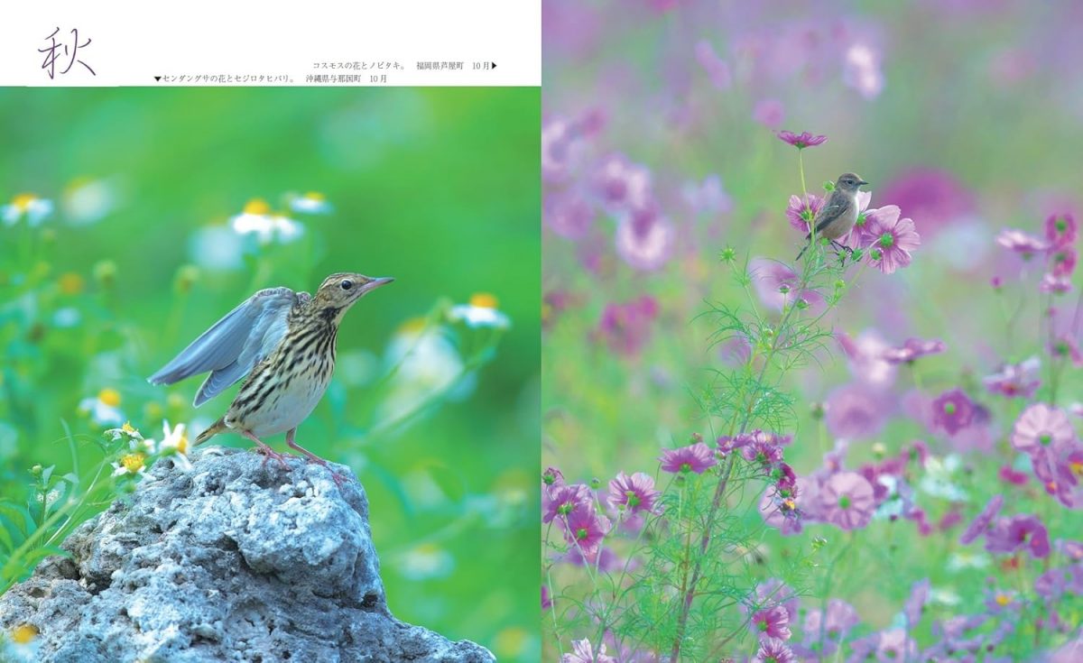 野の鳥と花かがり