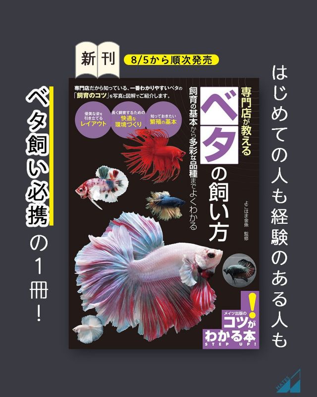 【中古】 西日本ユースホステルオールガイド/メイツユニバーサルコンテンツ/編集オフィスＷｉｌｌ OX2402：（MHS搭載）ニューステージ・プレジアα アルファ