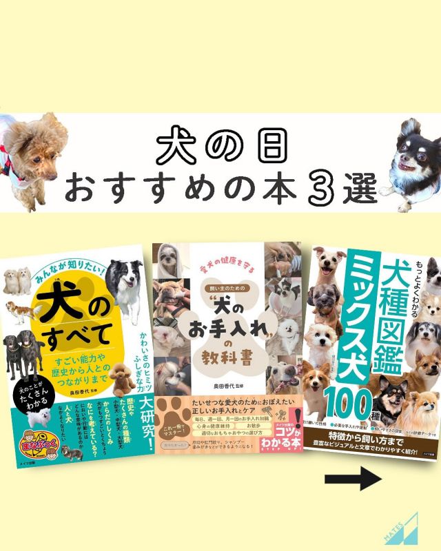 本日限定 世界遺産 についての本 : 美しい日本の世界遺産2615分 大人の教養シリーズ